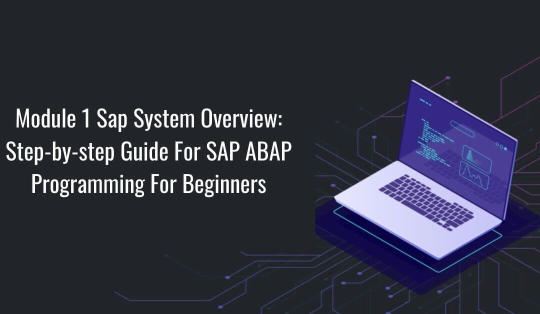 Module 1 Sap System Overview: Step-by-step Guide For SAP ABAP Programming For Beginners
